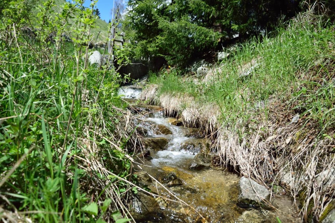 Willa Traterhof-Spinges Rio di Pusteria Zewnętrze zdjęcie
