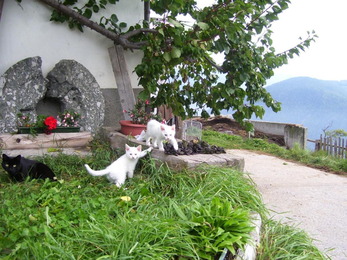 Willa Traterhof-Spinges Rio di Pusteria Zewnętrze zdjęcie